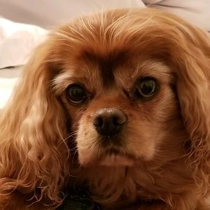 Meet your Posher, Tricia